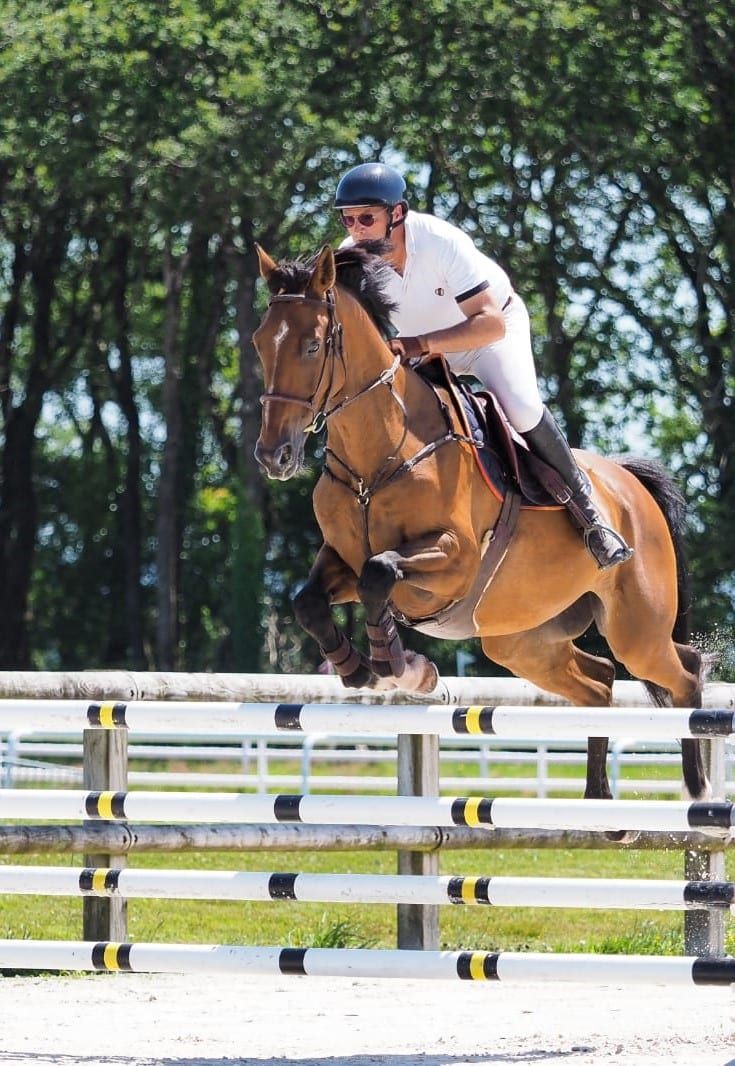 Formateur de Formations Équitation Finistère